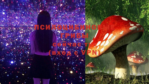 герыч Горнозаводск